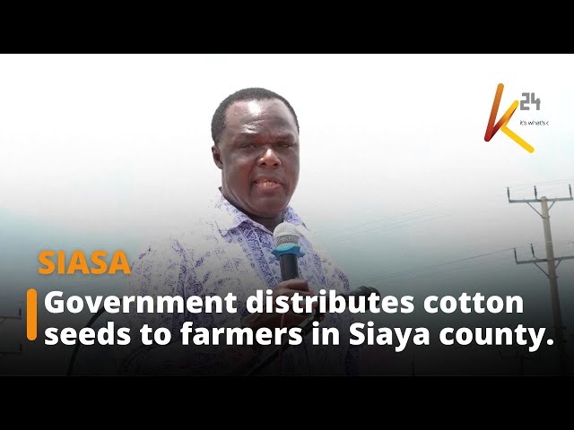 ⁣The government distributes cotton seeds worth Ksh 25 million to farmers in Siaya County.