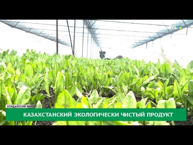 ⁣Казахстанский экологически чистый продукт