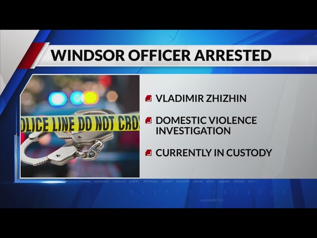 Windsor police officer accused of domestic violence