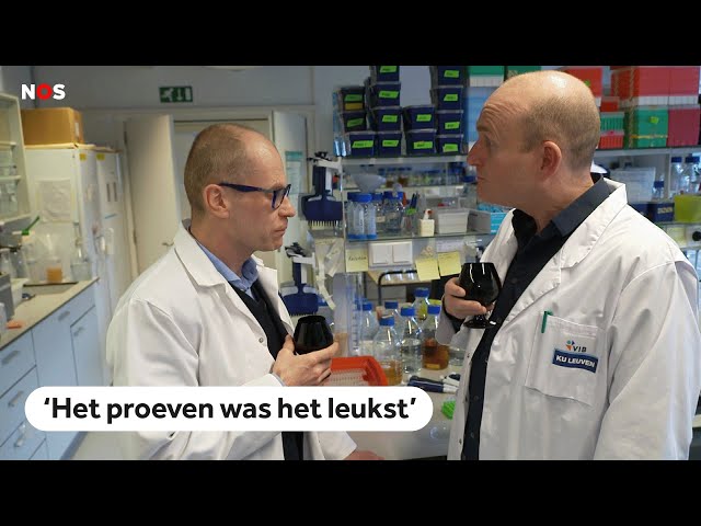 ⁣Smaakt het Belgische bier beter door AI?