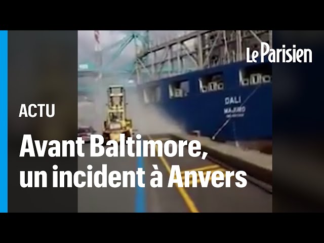 Pont effondré à Baltimore : le cargo Dali avait embouti le port d'Anvers en 2016