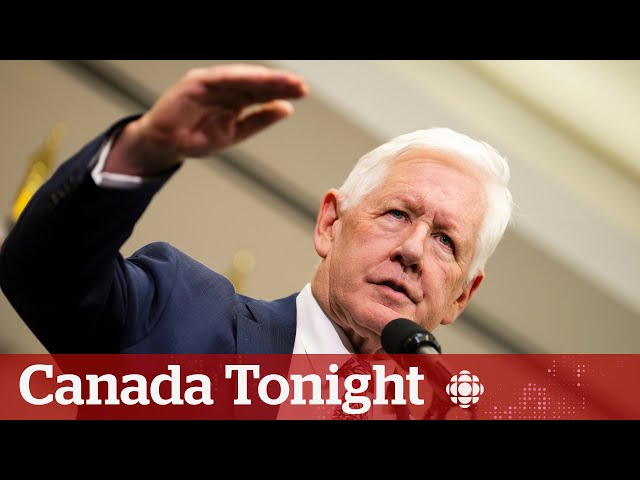Canada will continue to press for ceasefire in Gaza: UN ambassador | Spotlight