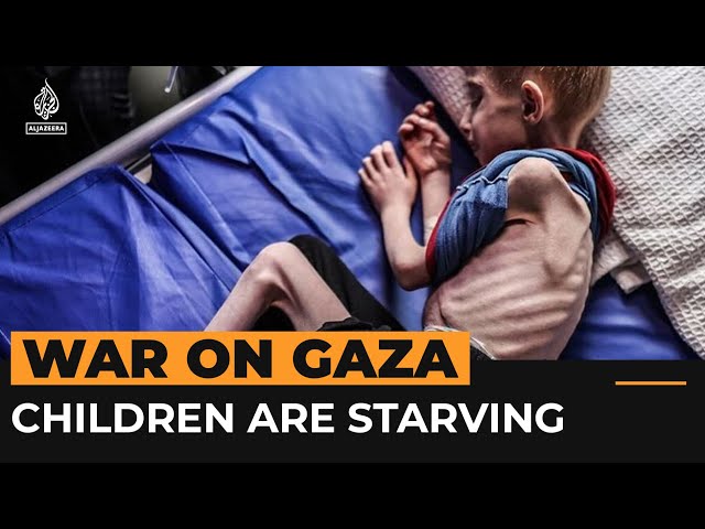 Videos of malnourished children show Gaza’s forced starvation crisis | Al Jazeera Newsfeed