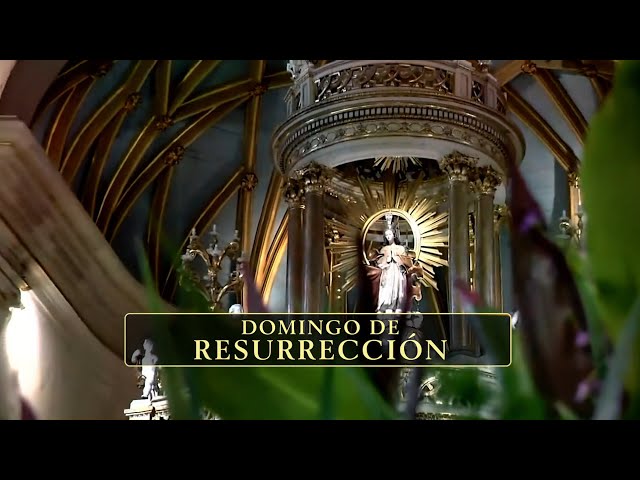 Misa Dominical: Domingo de Resurrección - Catedral de Lima (31/03/2024) Promo | TVPerú