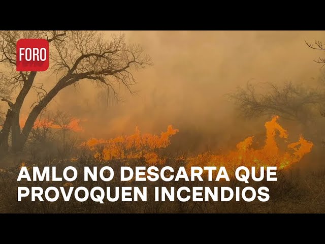 ¿Cuántos incendios forestales hay en México? - Expreso de la Mañana