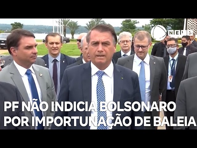 PF não indicia Bolsonaro por importunação de baleia