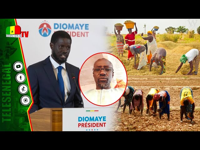 ⁣Elu cinquième Président| Cheikh Tidiane Cissé, SG des agriculteurs à l'attente de Bassirou Diom