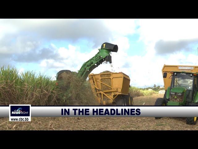 CBC NewsNight - March 25 2024