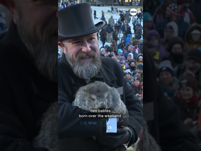 Punxsutawney Phil, the world’s most famous groundhog, is now a father