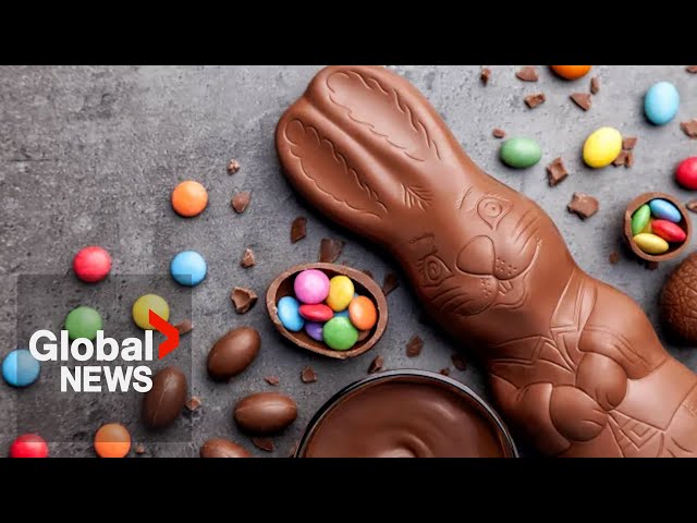 ⁣Hopping-high chocolate prices: What a cocoa shortage means for your Easter basket