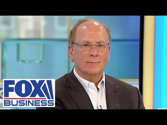 Larry Fink: There is strong reason for the US to have more momentum than any place