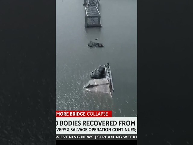 Divers recover 2 bodies from Baltimore bridge collapse site #shorts