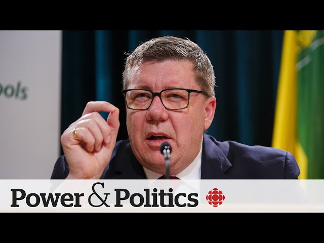 Carbon tax making life unaffordable for Canadians: Sask. premier | Power & Politics