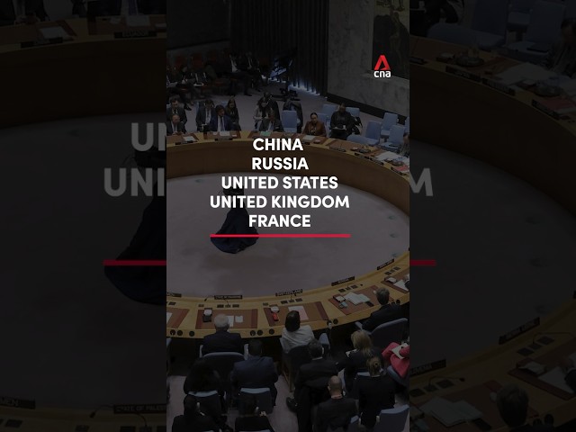 CNA Explains: What does the UN Security Council do?