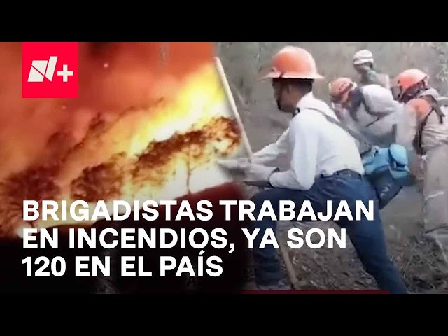 120 Incendios Afectan a México: Edomex, Veracruz y NL, Estados en 'Llamas'