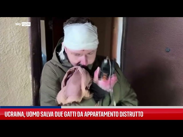 Ucraina, sopravvissuto salva due gatti da una casa distrutta