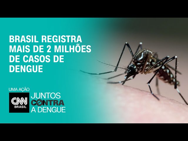 Brasil registra mais de 2 milhões de casos de dengue | CNN NOVO DIA