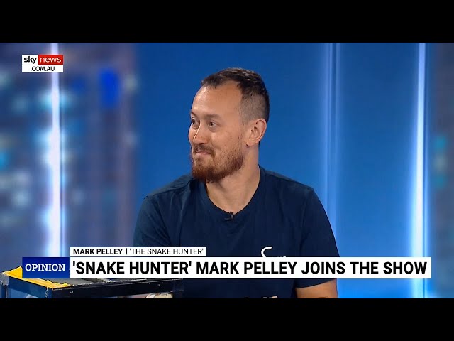 The Snake Hunter faces criticism after near fatal snakebite