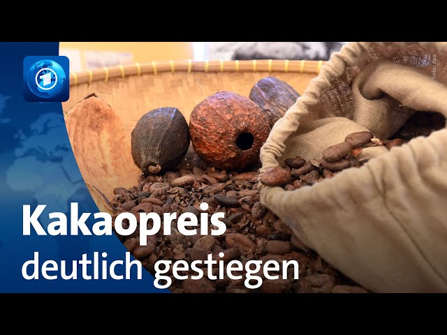 Kakaopreis klettert auf Rekordhoch