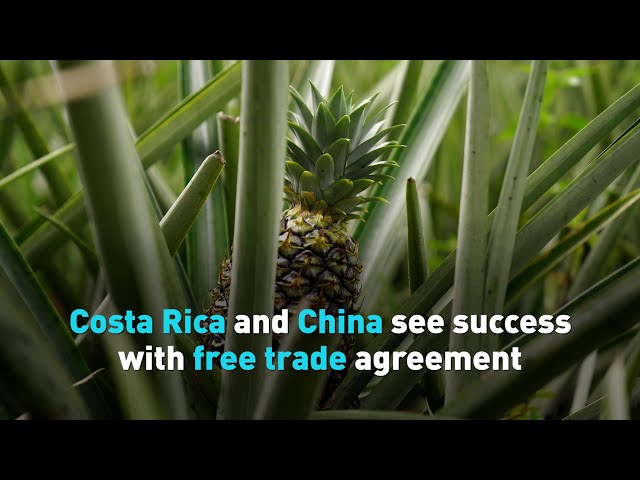 Costa Rica and China see success with free trade agreement