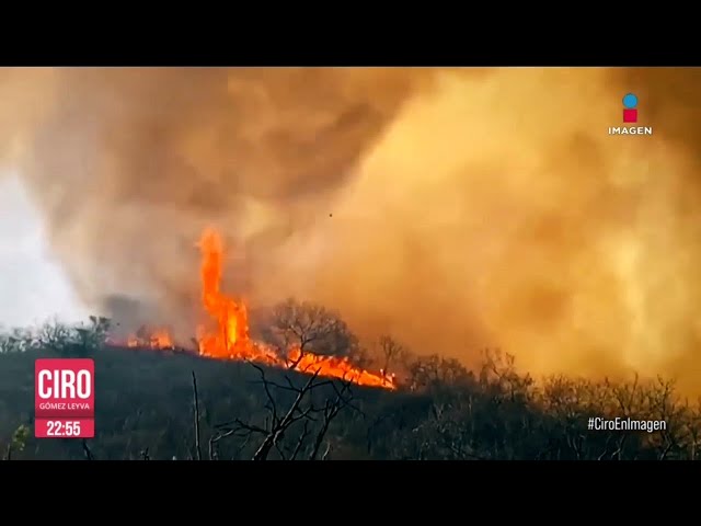 Aumentan los incendios forestales en el país; ya son más de 10 mil hectáreas dañadas | Ciro