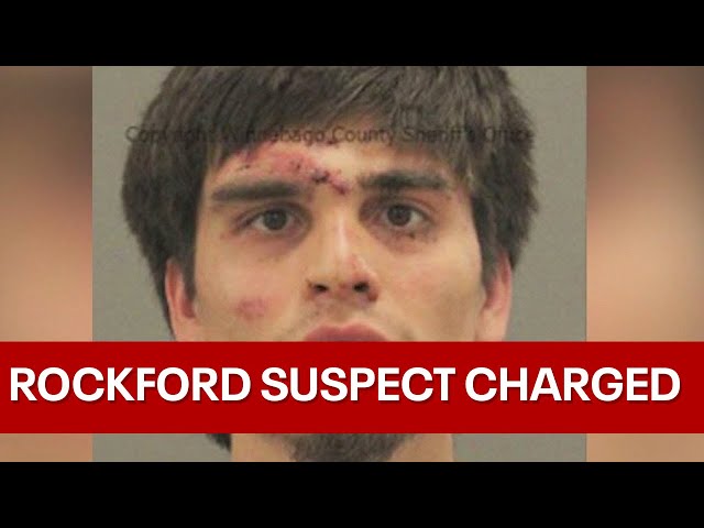 Rockford stabbing suspect appears in court, faces slew of charges