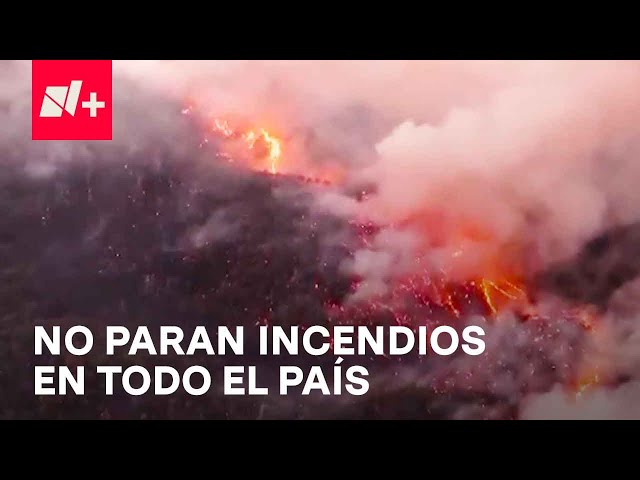 Se Registran en el País 126 Incendios Forestales Activos