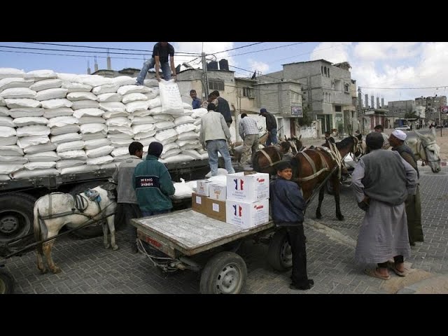 La Corte Internacional de Justicia ordena a Israel facilitar la entrada de ayuda humanitaria en Gaza