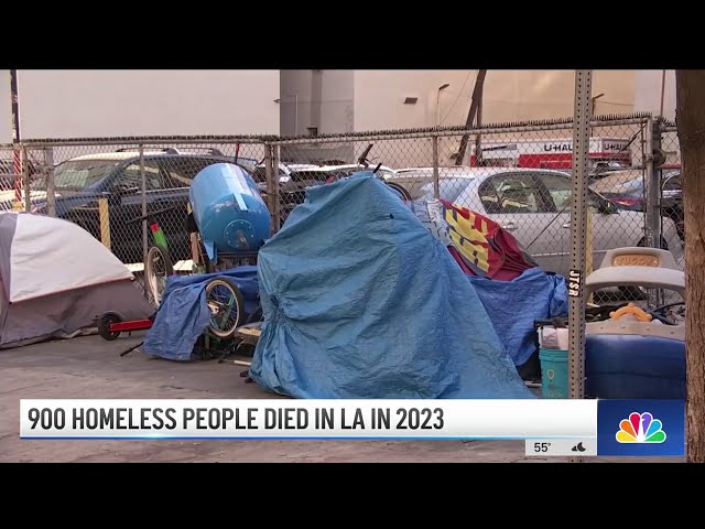 900 unhoused people died in LA in 2023: City officials