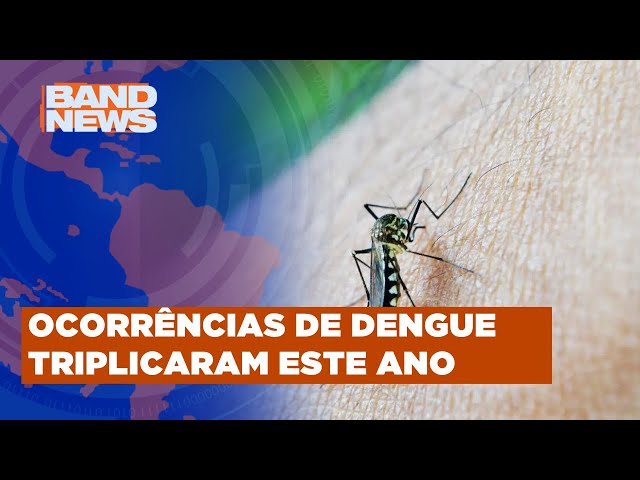 Epidemia de dengue nas Américas é a pior da história | BandNews TV