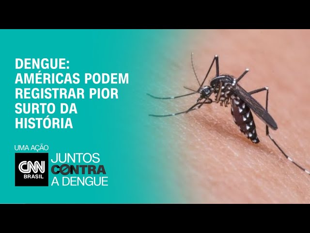 Dengue: Américas podem registrar pior surto da história | CNN NOVO DIA