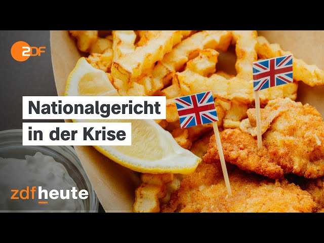 ⁣Fish and Chips bald unbezahlbar? Brexit blockiert britische Fischindustrie I auslandsjournal