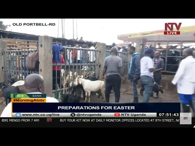 Kampala's abattoirs prepare for Easter celebrations | MORNING AT NTV