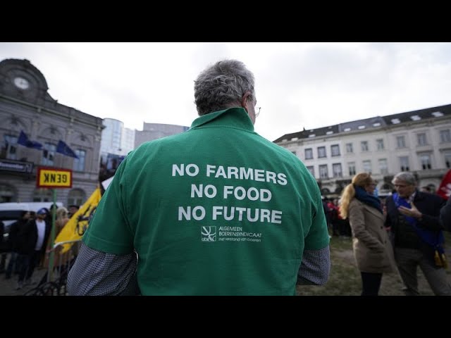 Umfrage: Europäer fürchten, dass die Landwirtschaft "den Bach runtergeht"