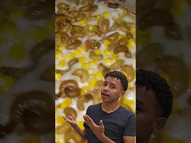 Pizza de larva de besouro que se desenvolve em cocos, o gongo, faz sucesso no Maranhão.