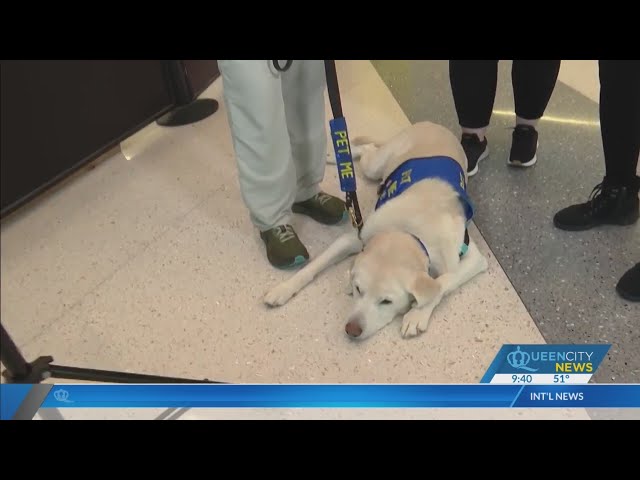 ⁣Meet the canine crew at Charlotte airport