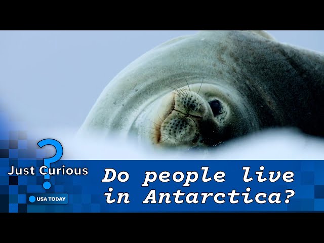 Do people live in Antarctica? What to know about the icy continent. | JUST CURIOUS