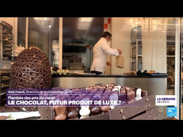 ⁣Coup de chaud sur le cacao : le chocolat, bientôt un produit de luxe ? • FRANCE 24