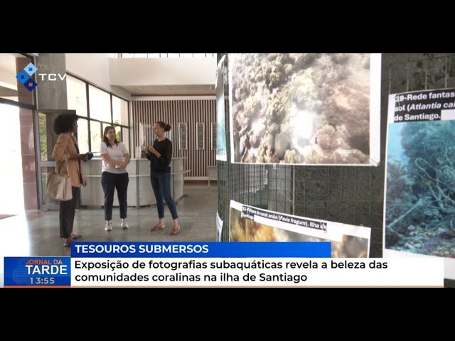 Exposição de fotografias subaquáticas revela a beleza das comunidades coralinas na ilha de Santiago