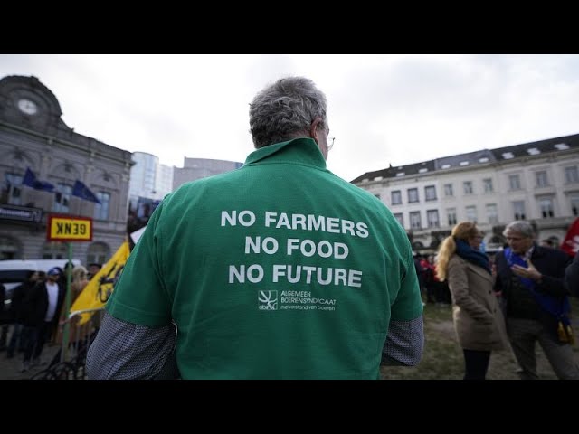 Las políticas de la UE ponen en peligro la independencia alimentaria, según el 50% de los europeos