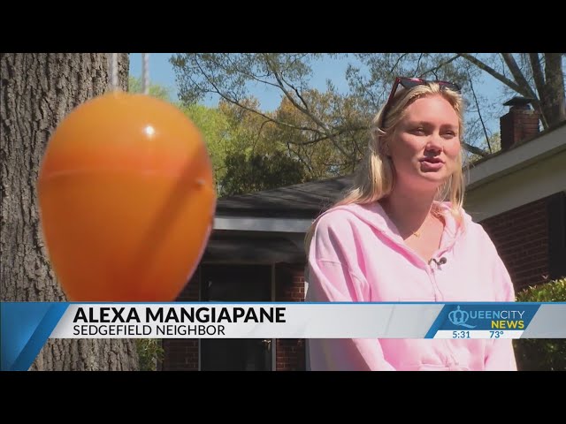 Charlotte neighbors hang 100s of Easter eggs for 'beautiful human being'