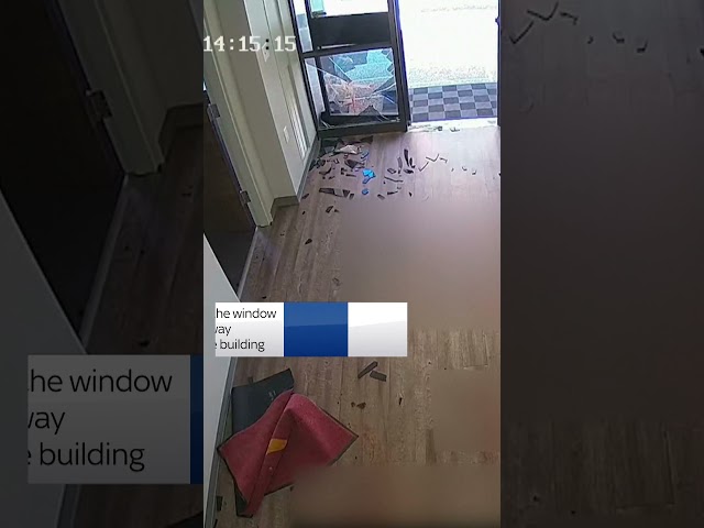 Deer crashes through window of Texas bank