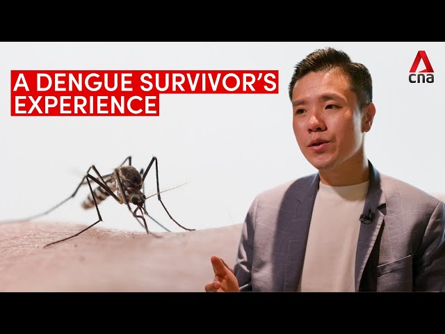 A dengue survivor’s experience