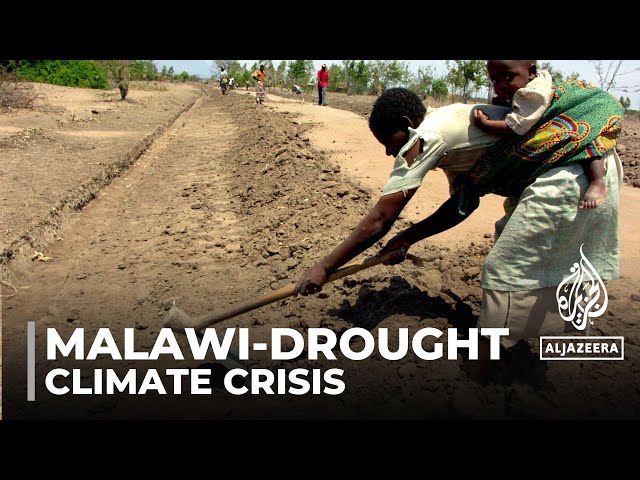 Malawi drought: Government declares a state of emergency