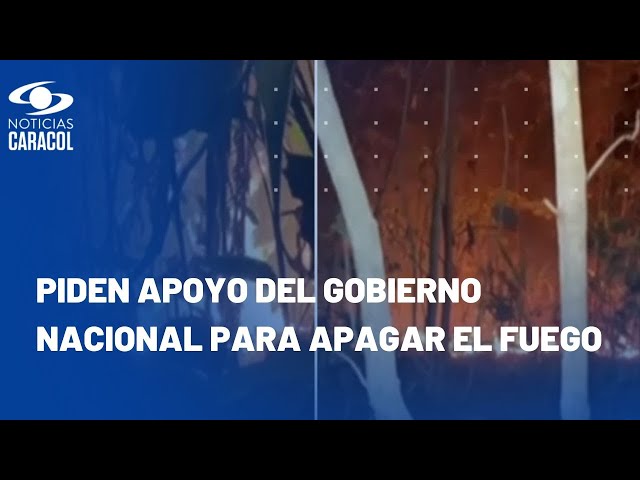 Incendio en Sucre que ha consumido mil hectáreas de vegetación está a punto de pasar a Bolívar