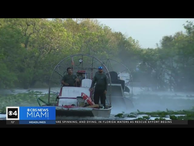 Airboat operator arrested after vessel flips over in the Everglades