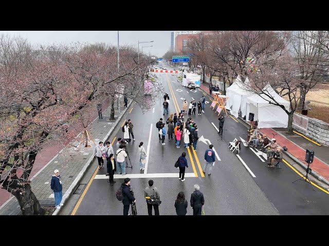 "꽃잎이 부드럽네요"…시각장애인과 몸으로 느낀 봄꽃축제 / 연합뉴스TV (YonhapnewsTV)