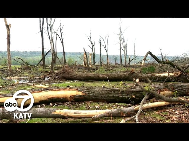 North Little Rock's resilience and rebirth, a year after tornado devastation