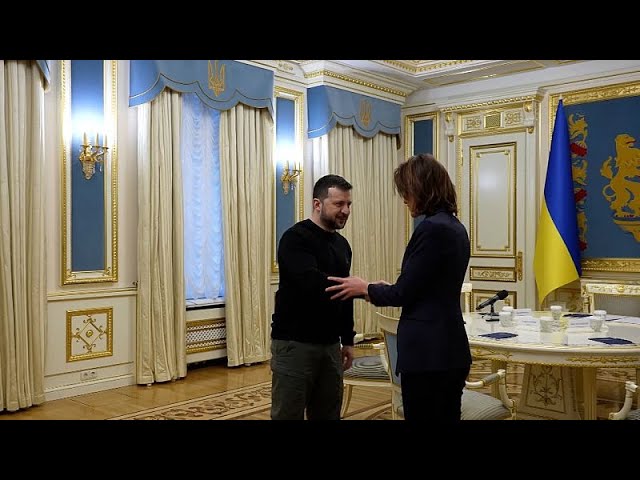 La solidarité de l'UE contribue au moral des troupes, selon Volodymyr Zelenskyy