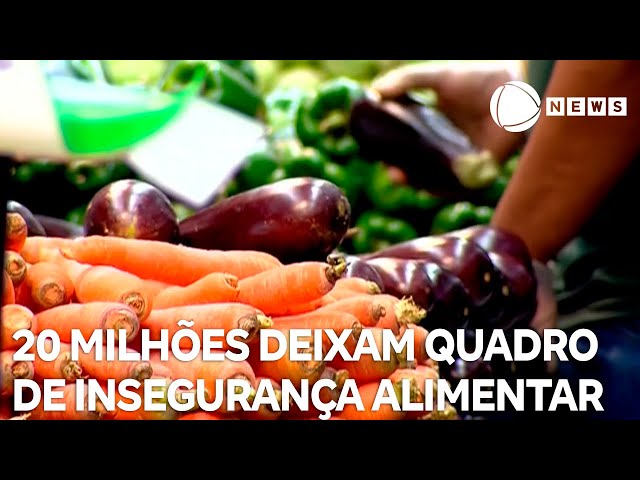 ⁣20 milhões deixam quadro de insegurança alimentar